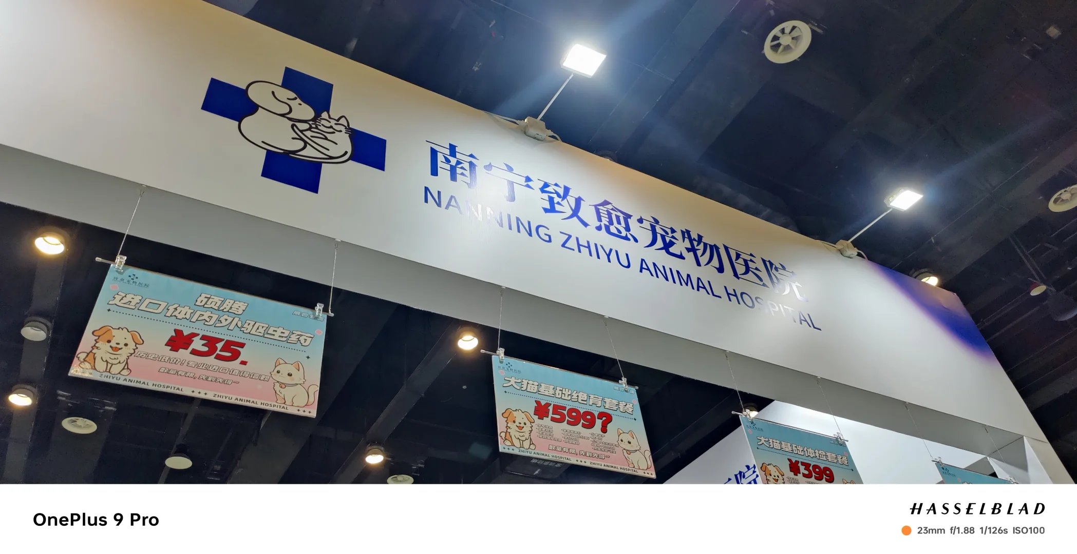 打卡东盟宠物博览会