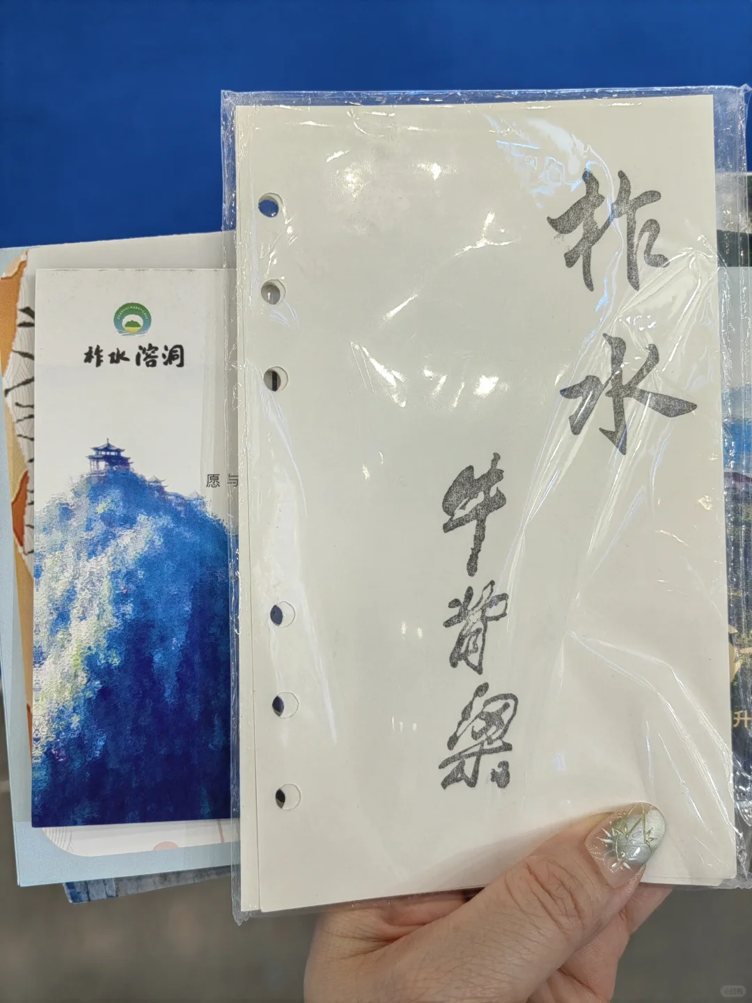 2025盖章32：西安丝绸之路国际旅游博览会