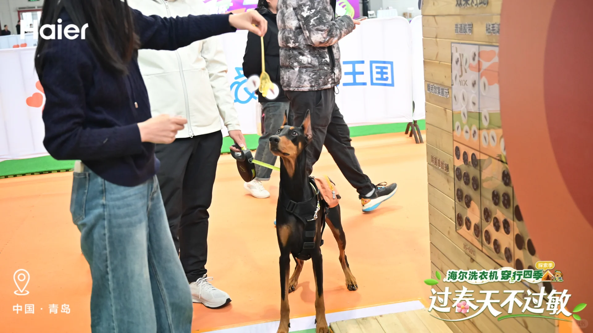 温馨萌宠时光✨