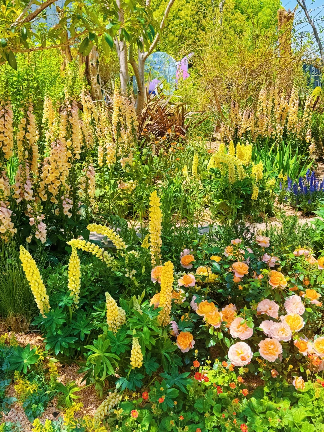 春日欢迎会｜上海4月前滩花展来了