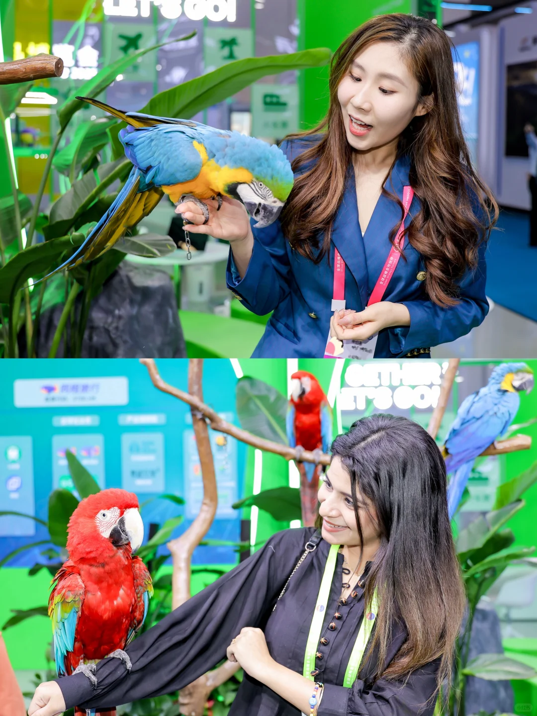 第五届消博会盛大开启，门票?送！