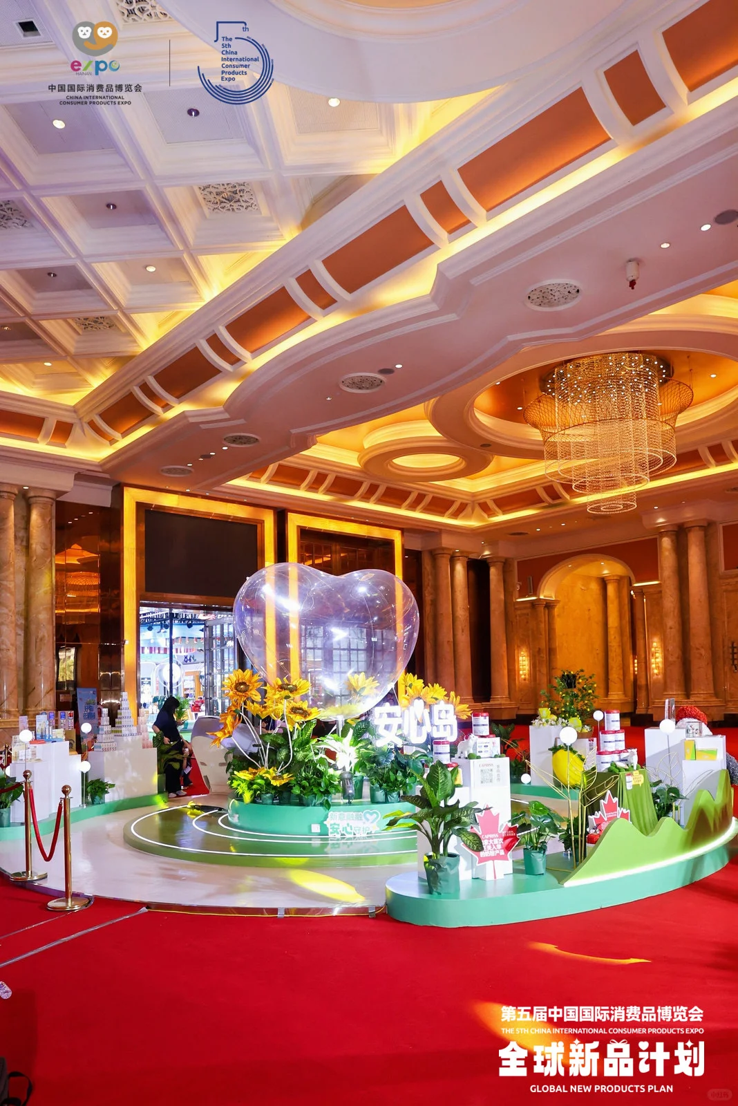 消博会“薅羊毛”大作战，收获满满超快乐！