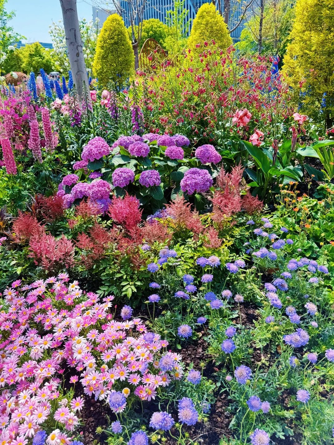 春日欢迎会｜上海4月前滩花展来了