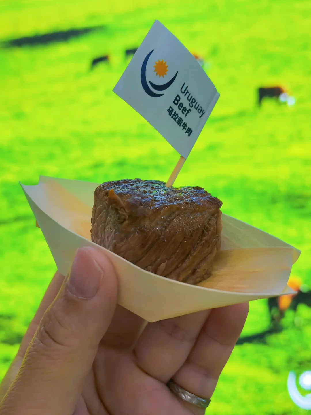 消博会薅羊毛记