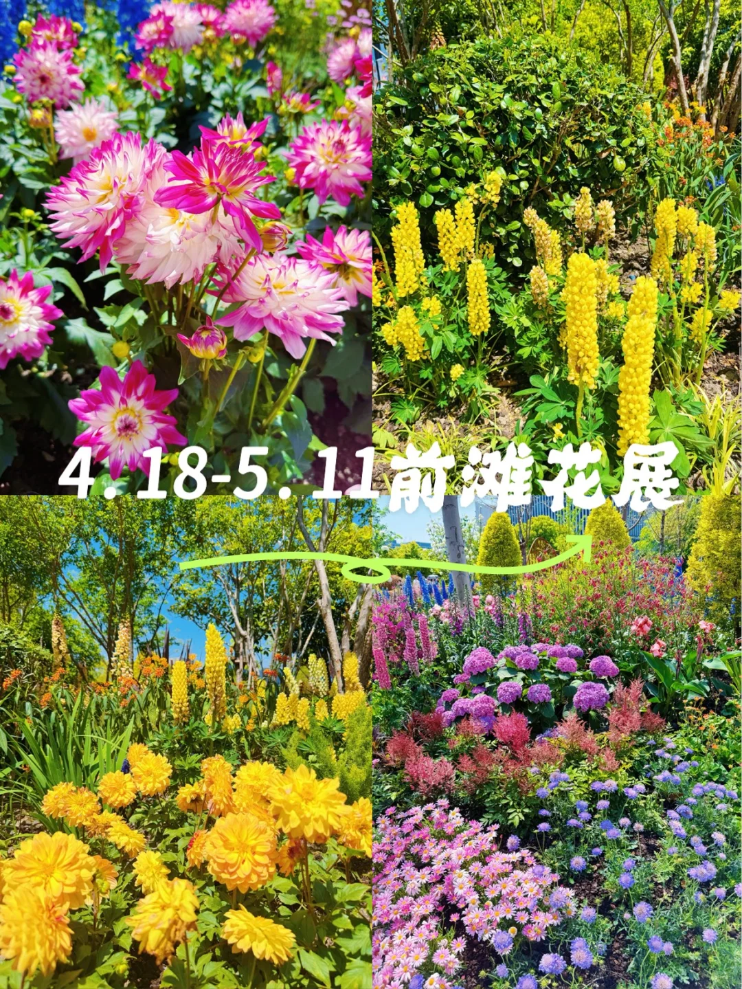 春日欢迎会｜上海4月前滩花展来了