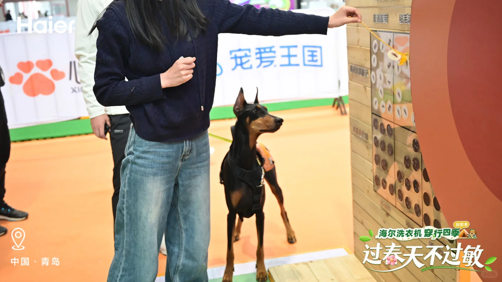 温馨萌宠时光✨