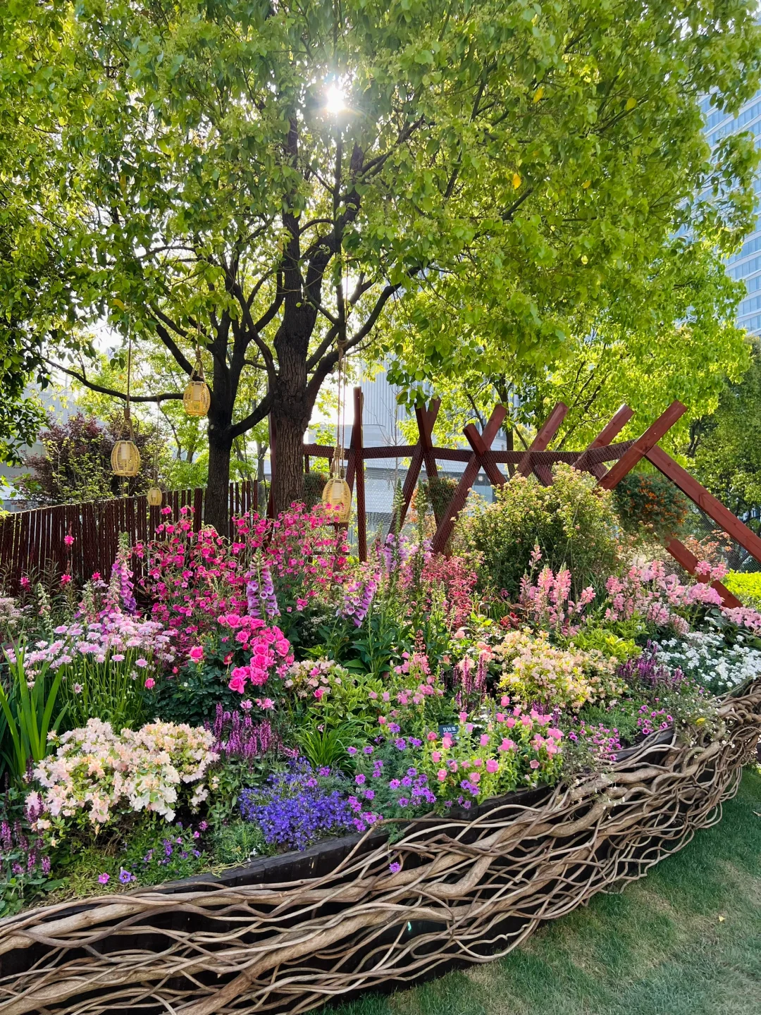 4.16实拍?预计周末有1w人去的上海赏花路线