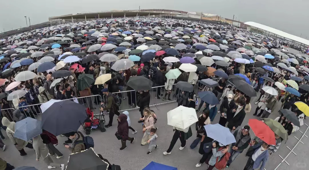 刚刚！世博会第二天人流量直接腰斩！