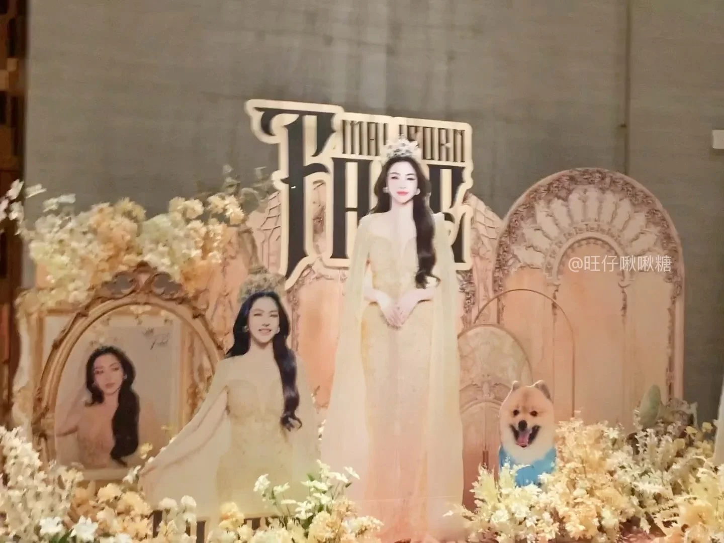 在会展看到faye …