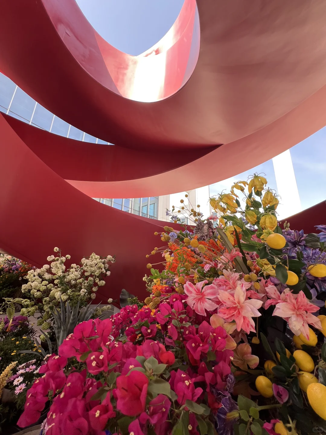 4.16实拍?预计周末有1w人去的上海赏花路线