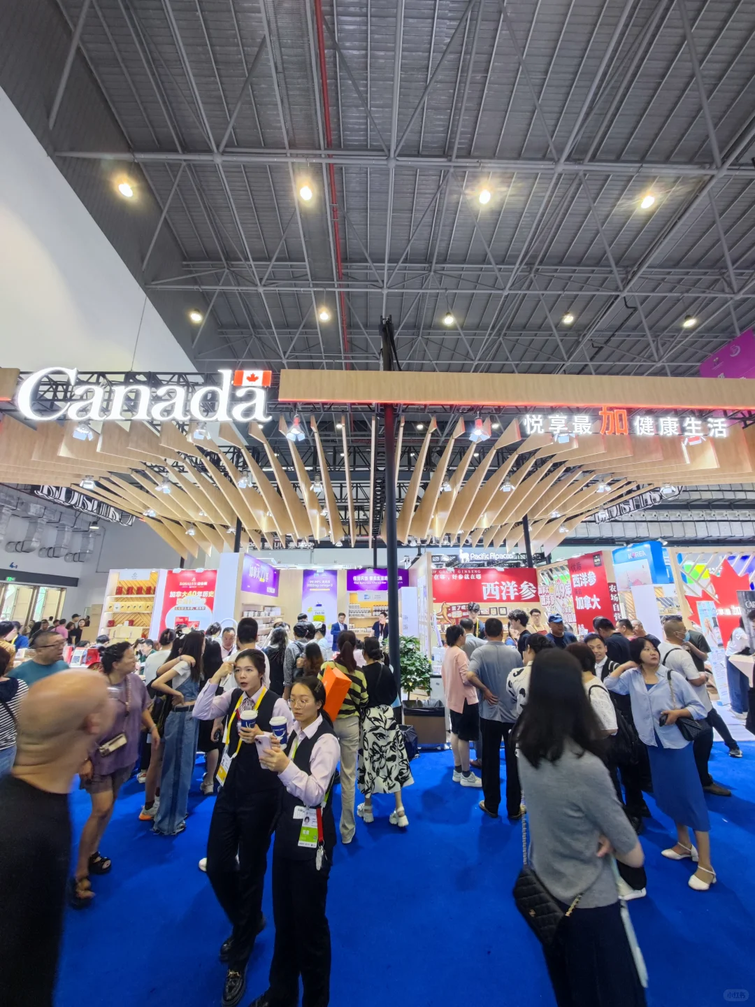 ?这么火爆的消博会，你真的不来打卡吗❓