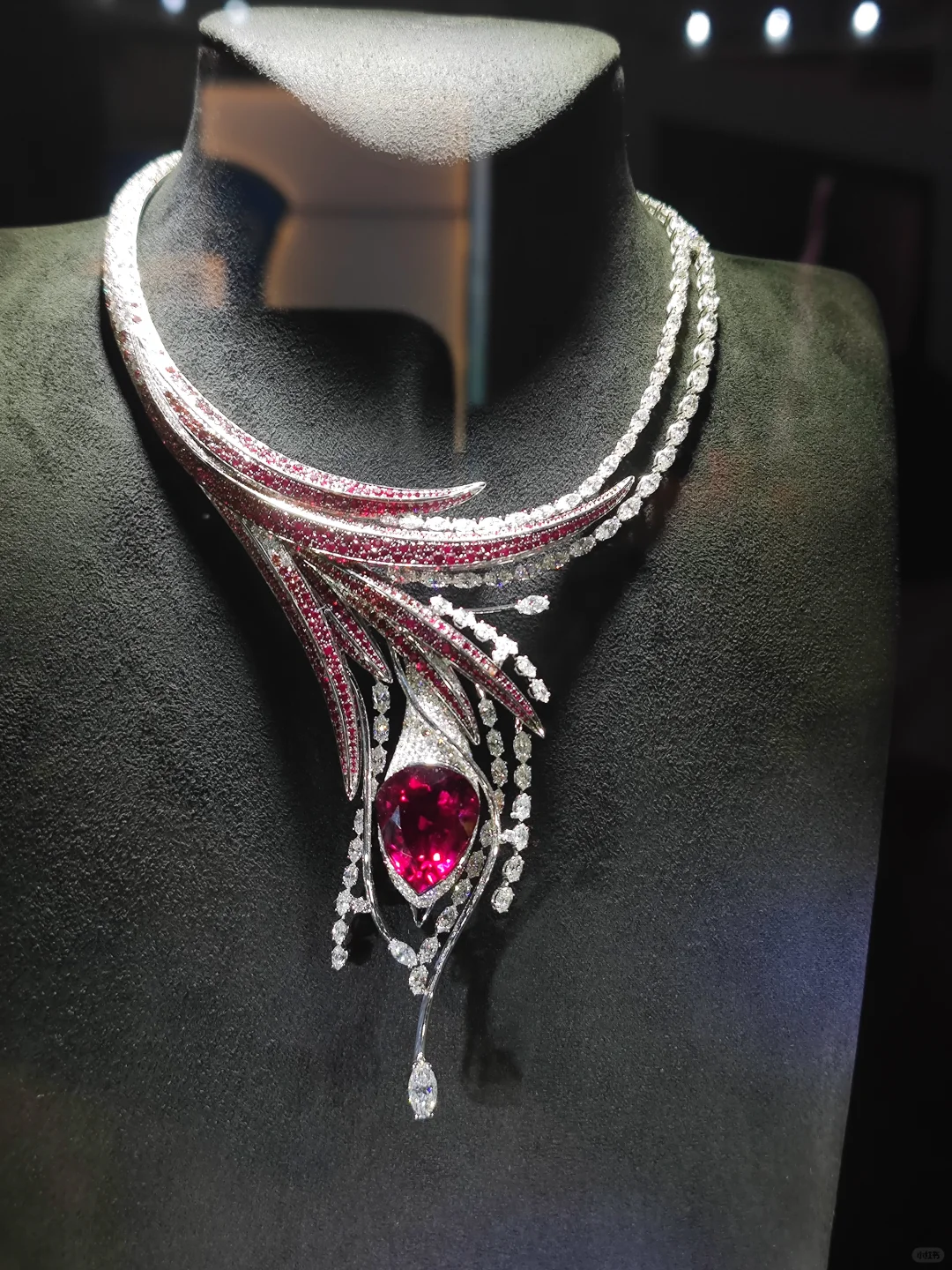 ?这么火爆的消博会，你真的不来打卡吗❓