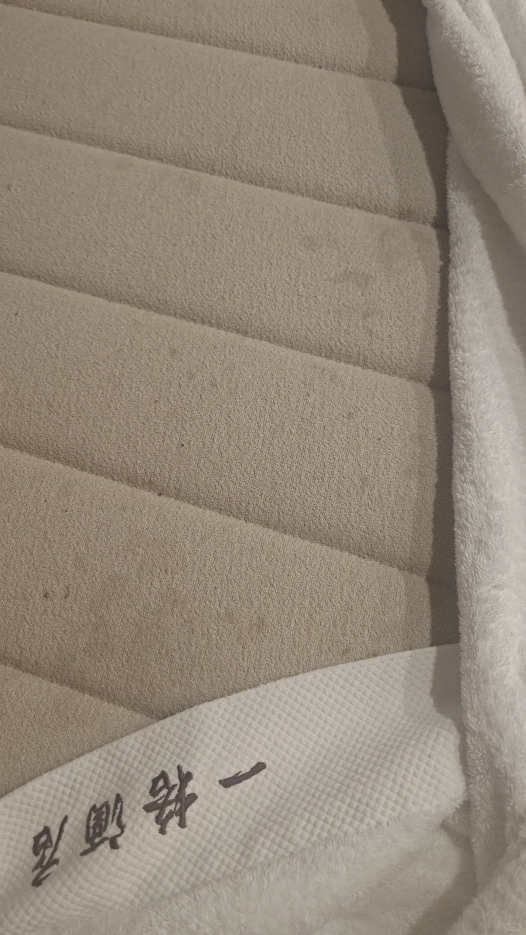 一格·臻选酒店（武汉光谷科技会展中心店）