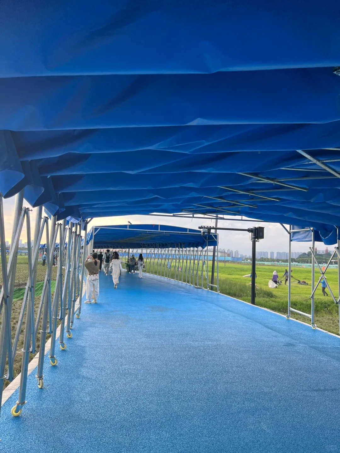 大草原上的cp30，来踩点了