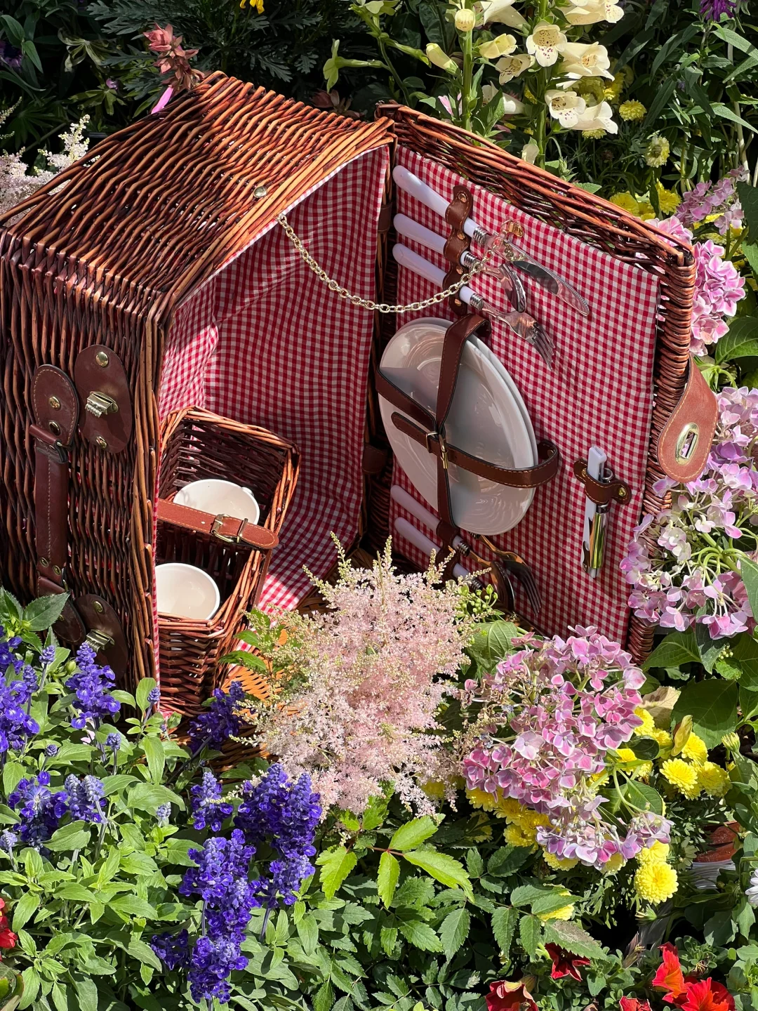 4.16实拍?预计周末有1w人去的上海赏花路线