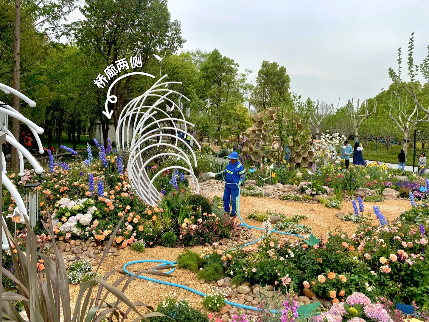 上海国际花展，前滩滨江花园，打卡！