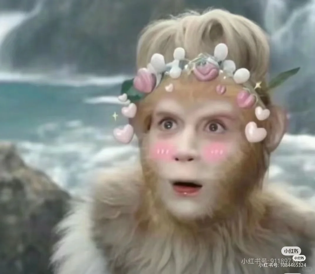 25日早上8点。深圳国际会展，摄影摄像两个