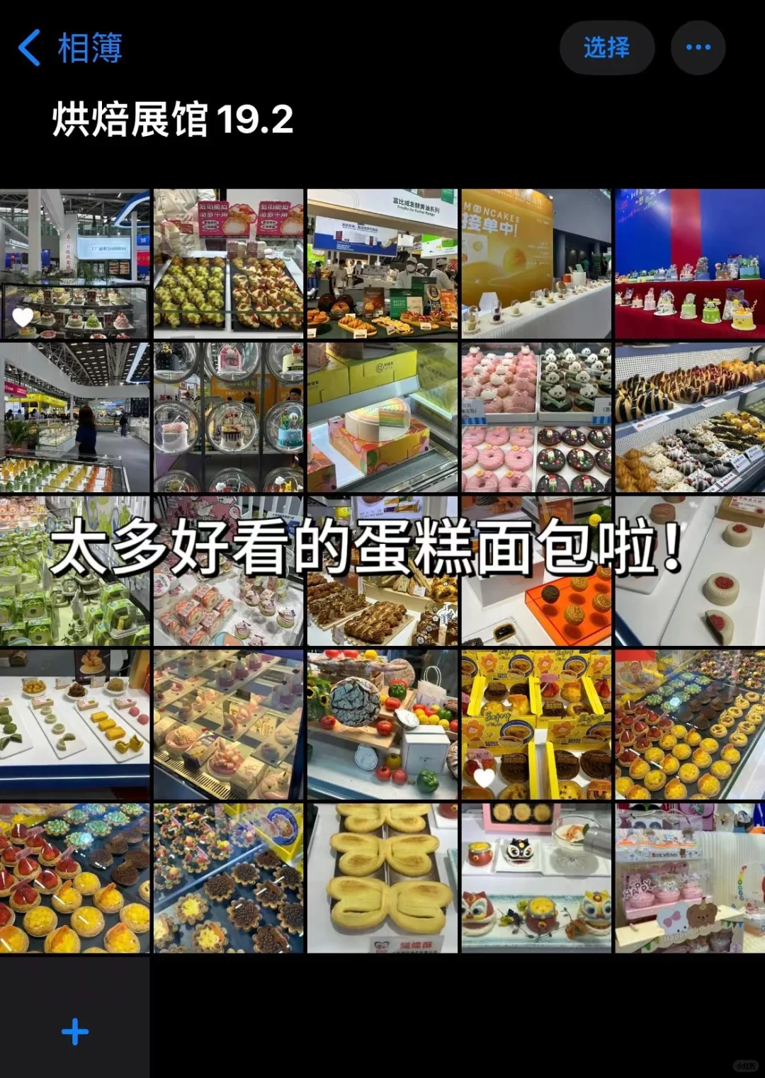 有吃有喝有逛的展太香了?