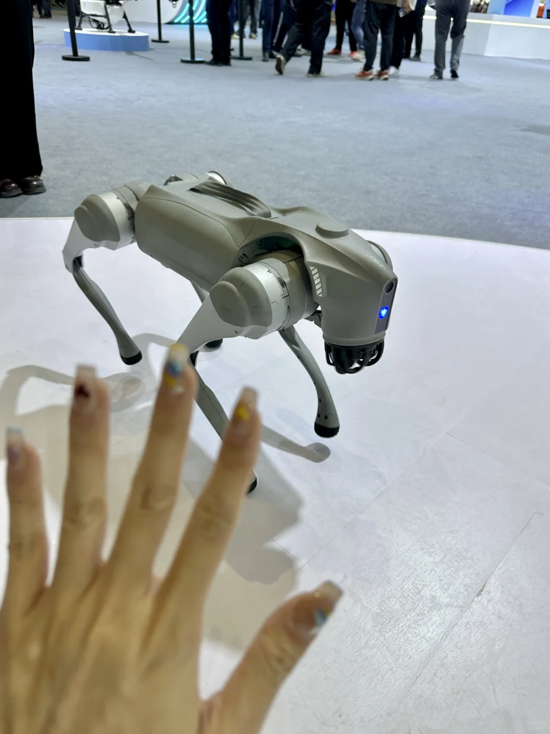 东莞！！你终于出息了！这周末快去逛……