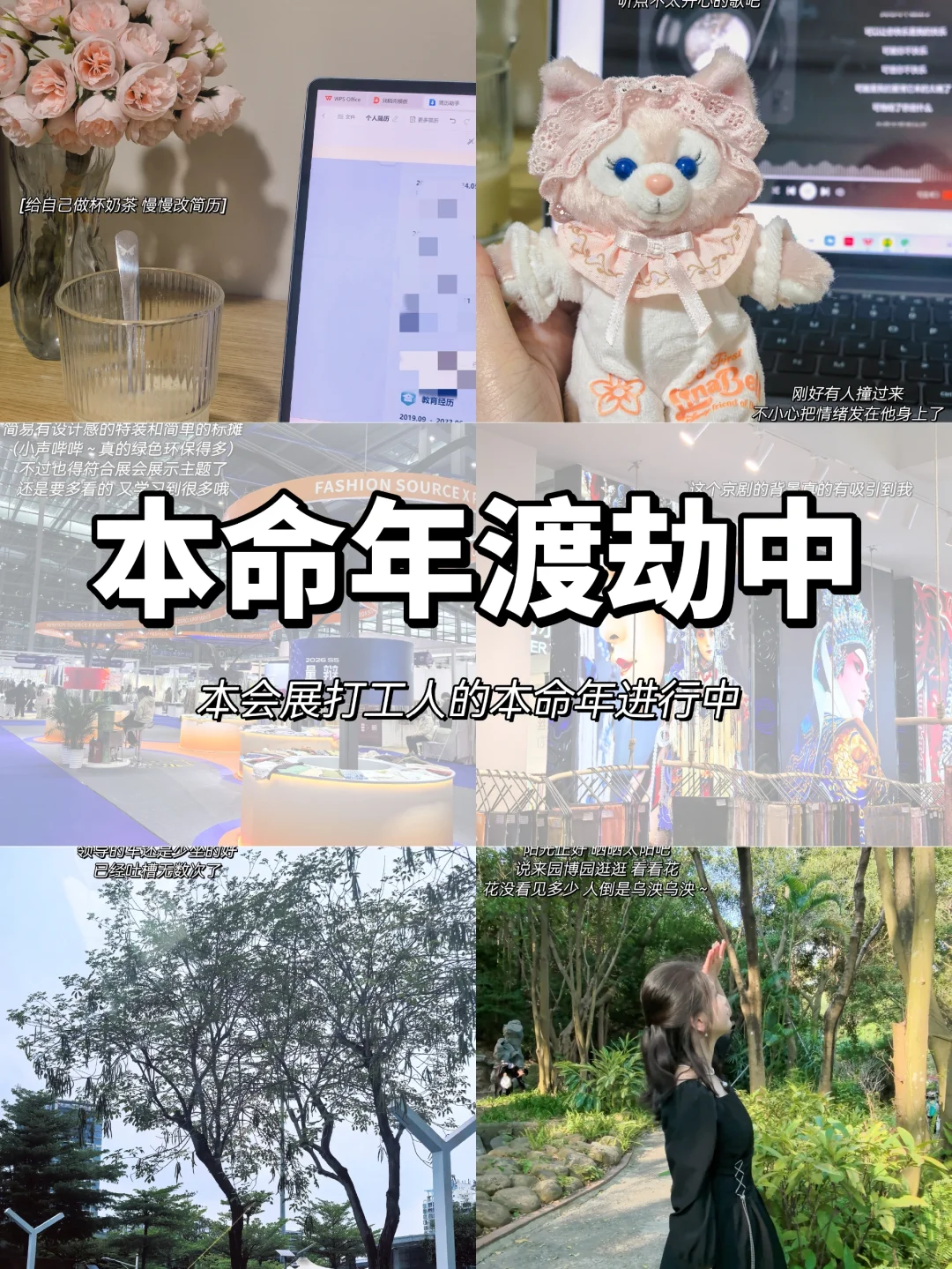 会展人PLOG｜本命年渡劫中