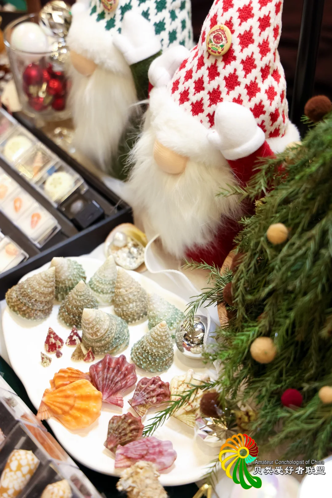 五一去哪玩？免费打卡北京国际贝展！