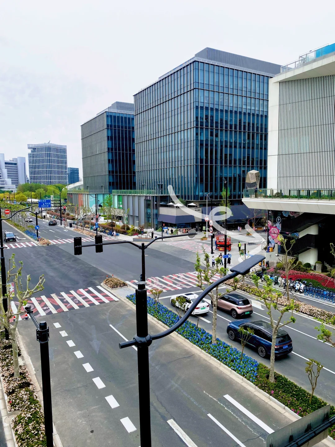 上海国际花展，前滩滨江花园，打卡！