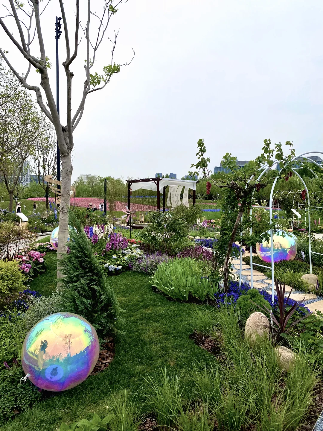 上海国际花展，前滩滨江花园，打卡！