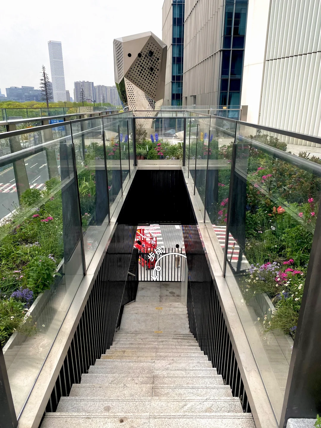 上海国际花展，前滩滨江花园，打卡！