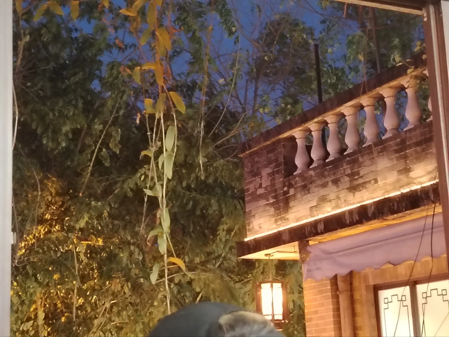 这辈子都不想来广交会