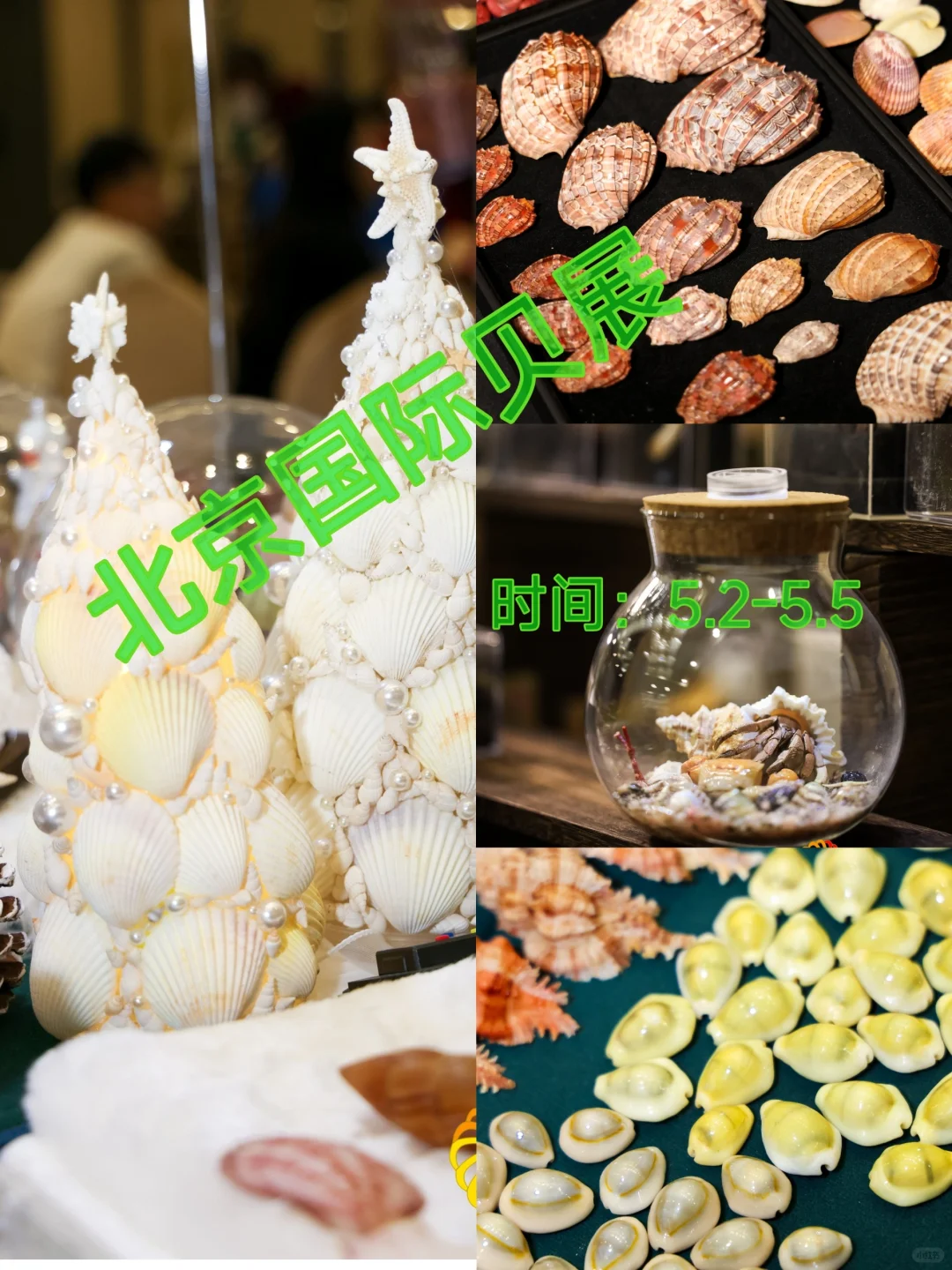 五一去哪玩？免费打卡北京国际贝展！