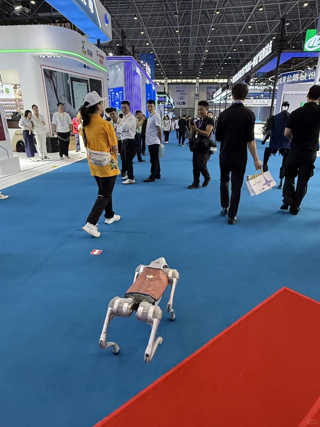 太牛了！在会展看到上春晚机器人了！！