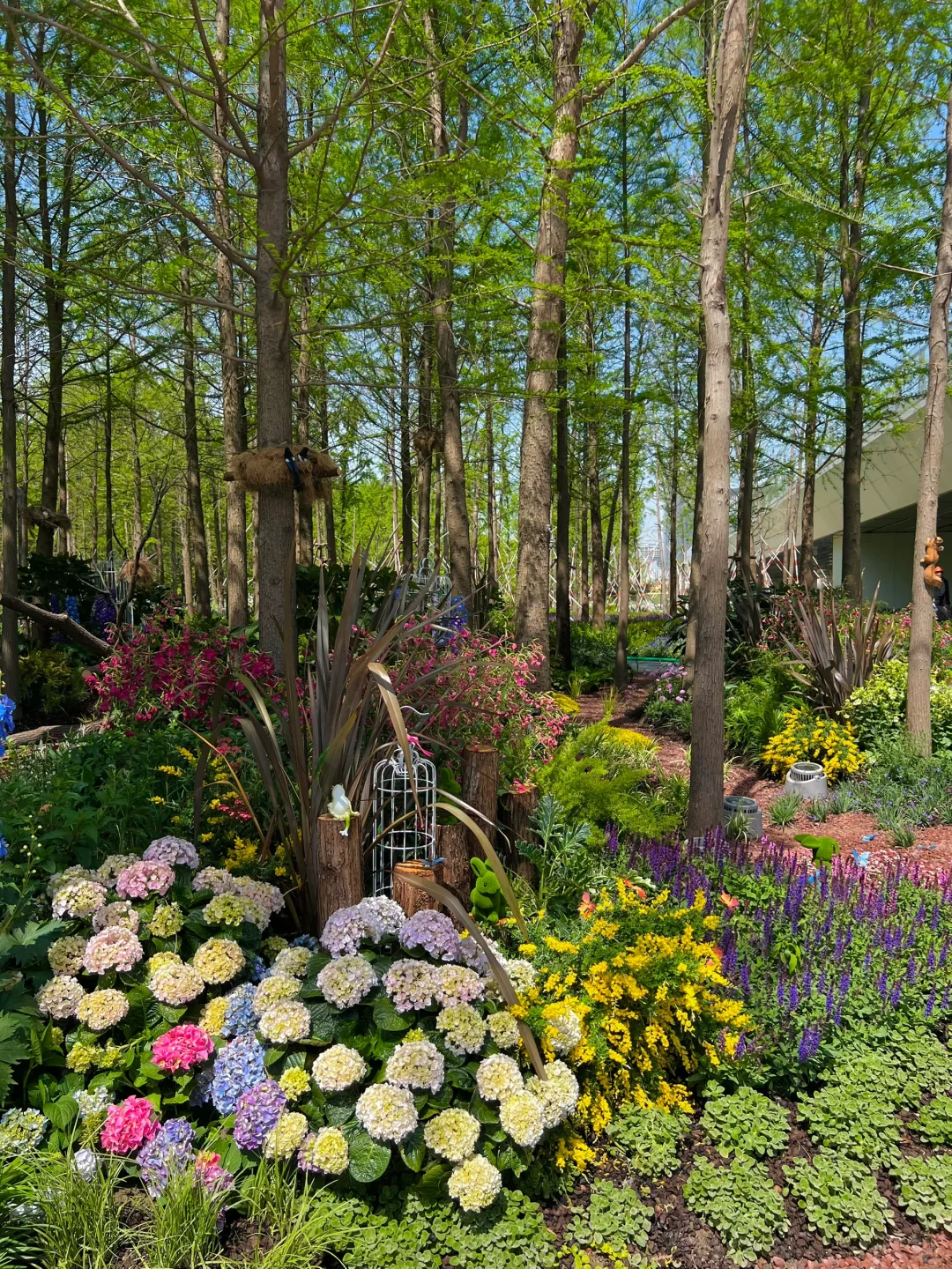 4.16实拍?预计周末有1w人去的上海赏花路线