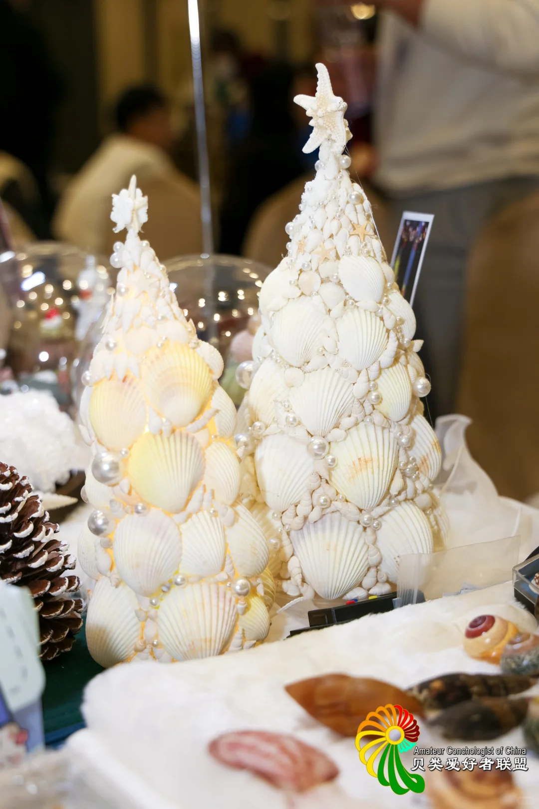 五一去哪玩？免费打卡北京国际贝展！