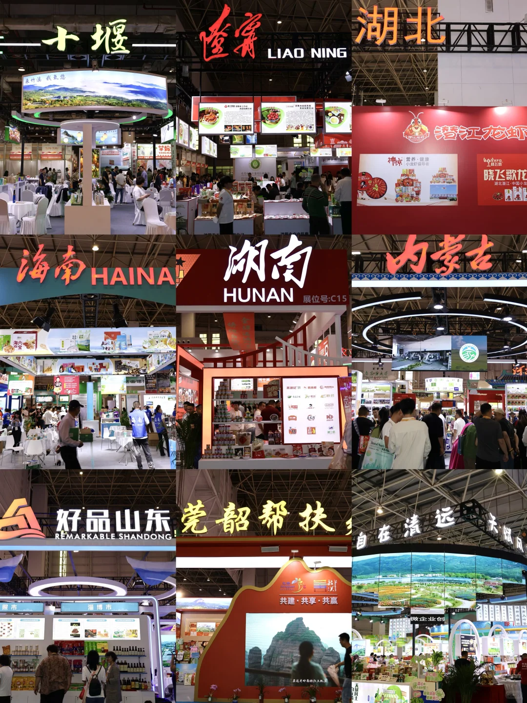 目测这周末全东莞人都来这里。。