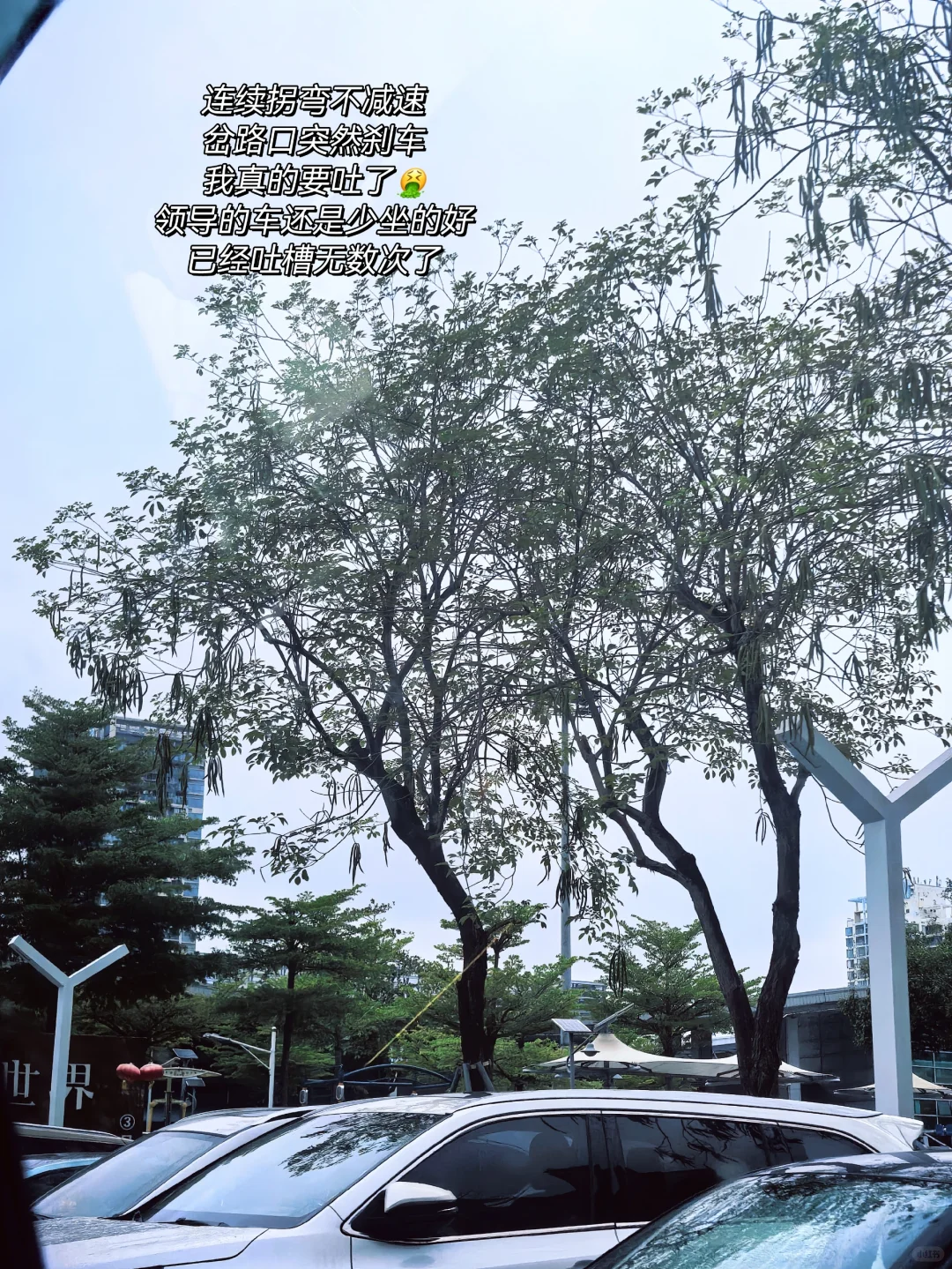 会展人PLOG｜本命年渡劫中