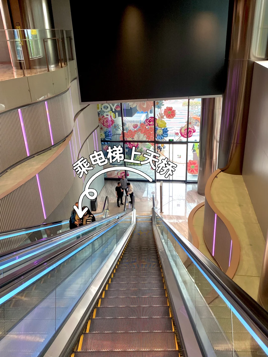 上海国际花展，前滩滨江花园，打卡！