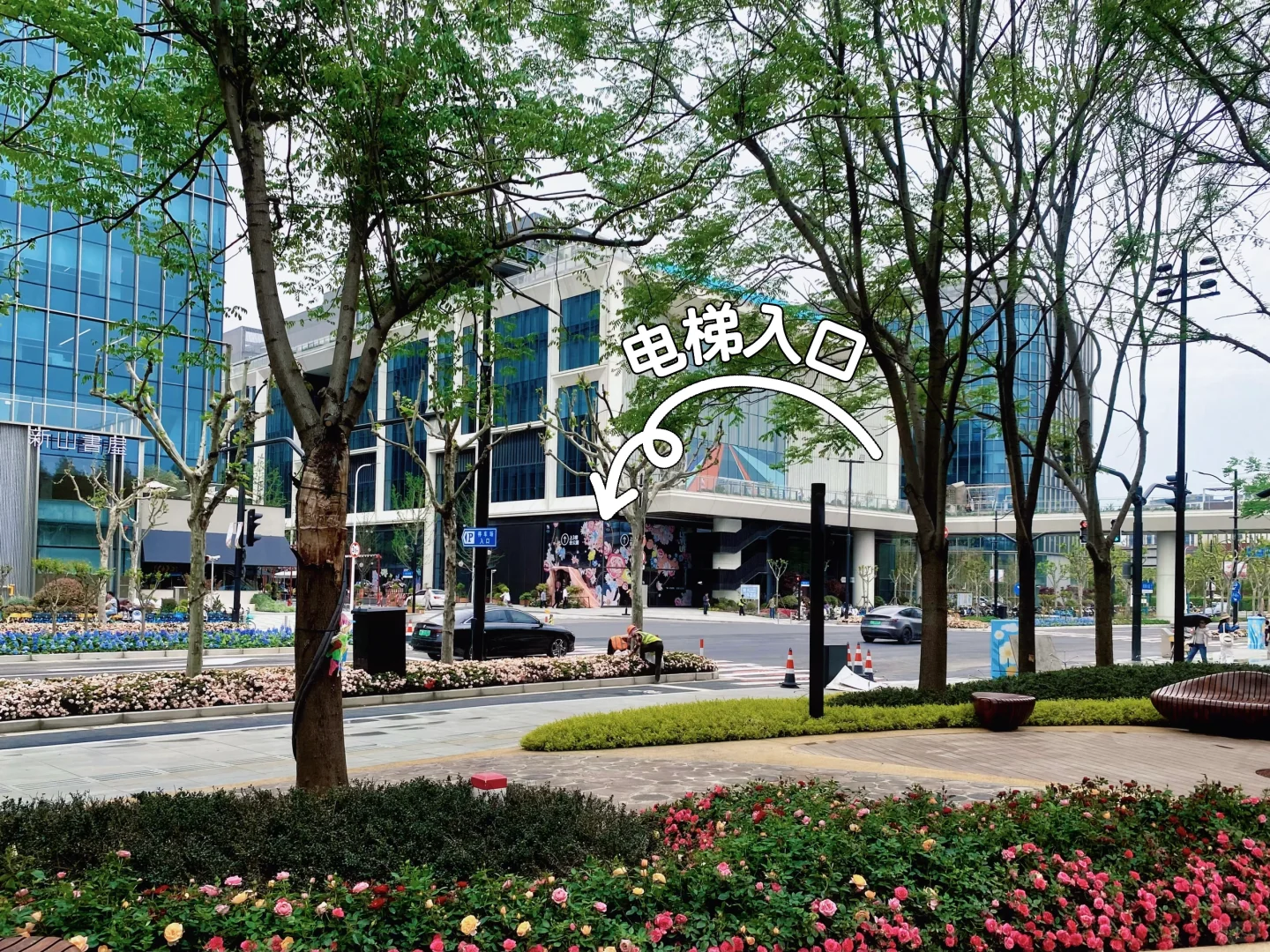 上海国际花展，前滩滨江花园，打卡！