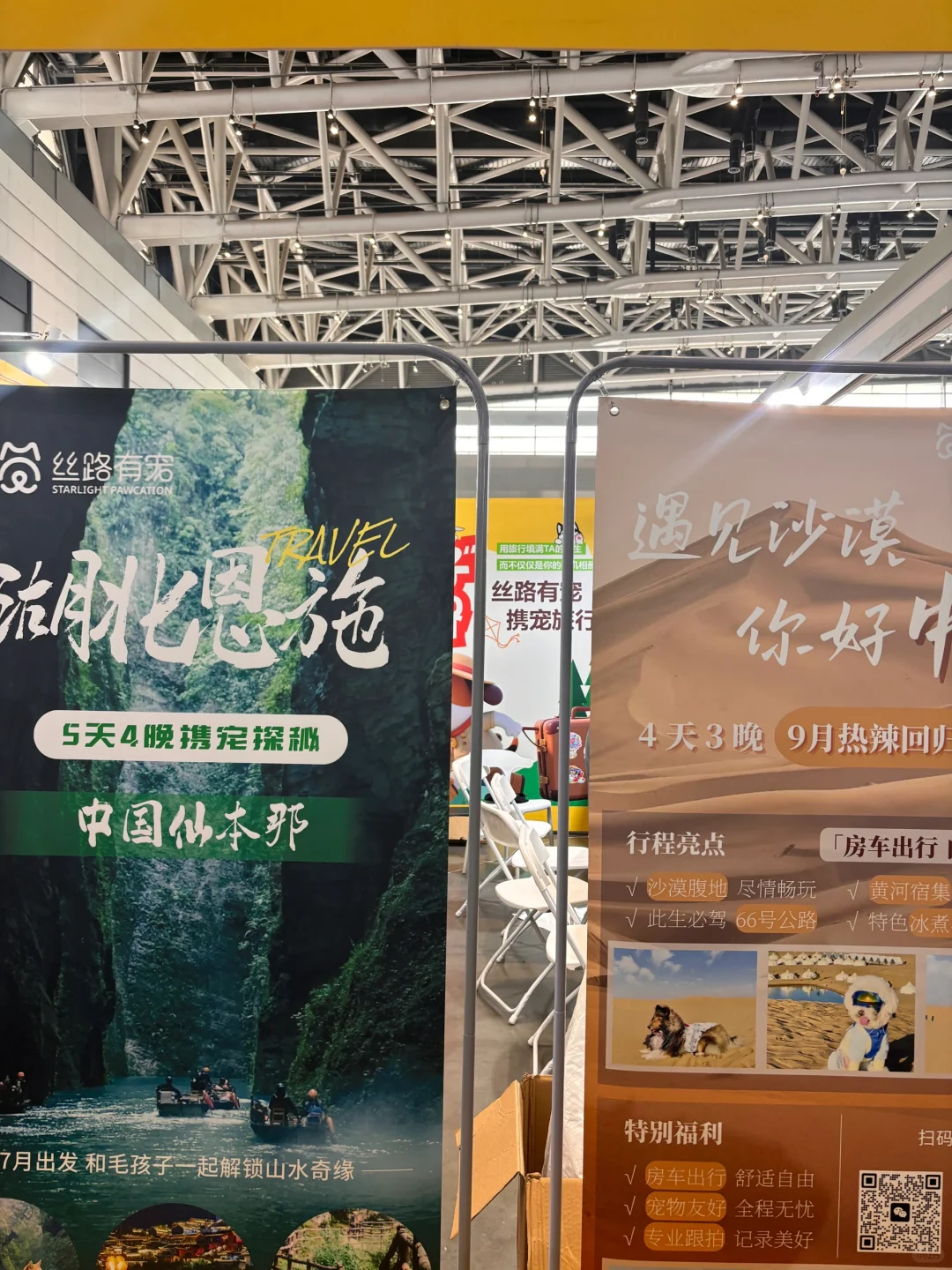 丝路有宠
