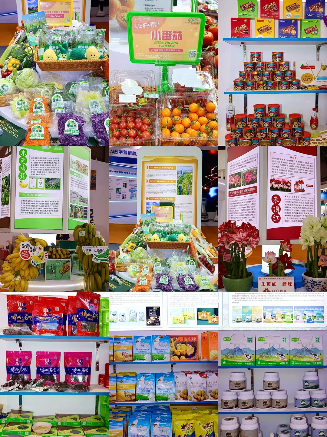 目测这周末全东莞人都来这里。。