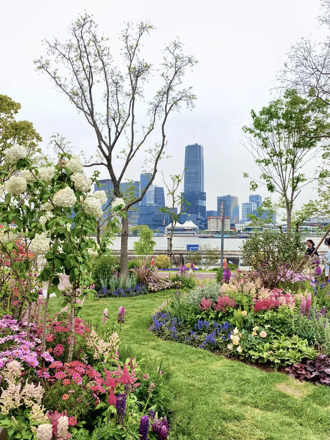 上海国际花展，前滩滨江花园，打卡！