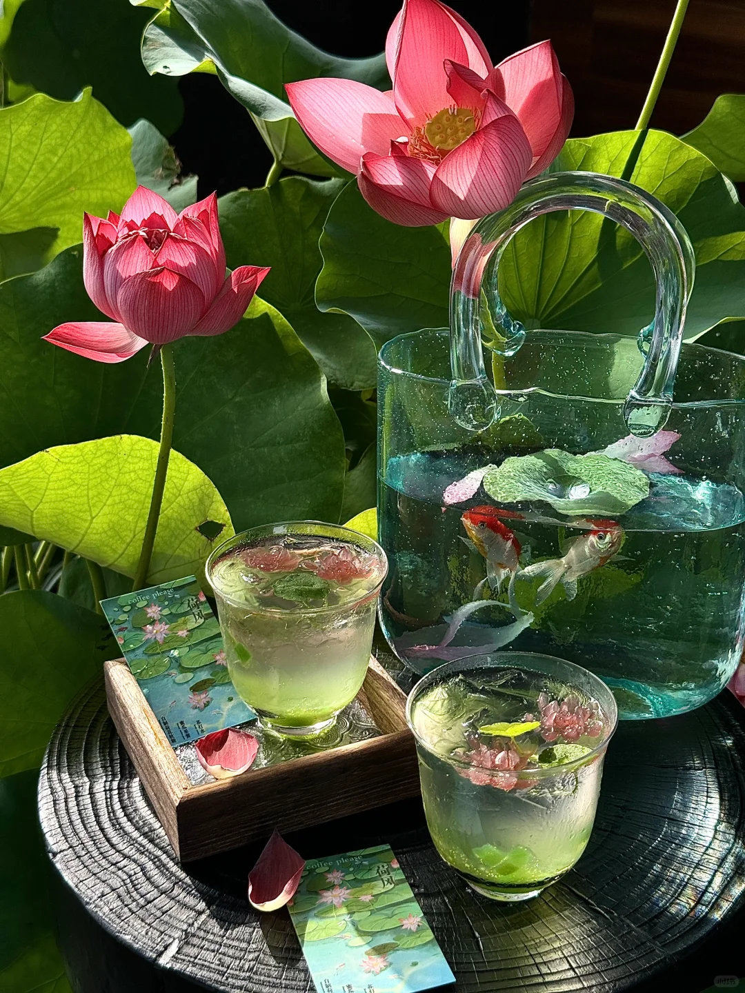 淡季的苏州，真的是人间理想