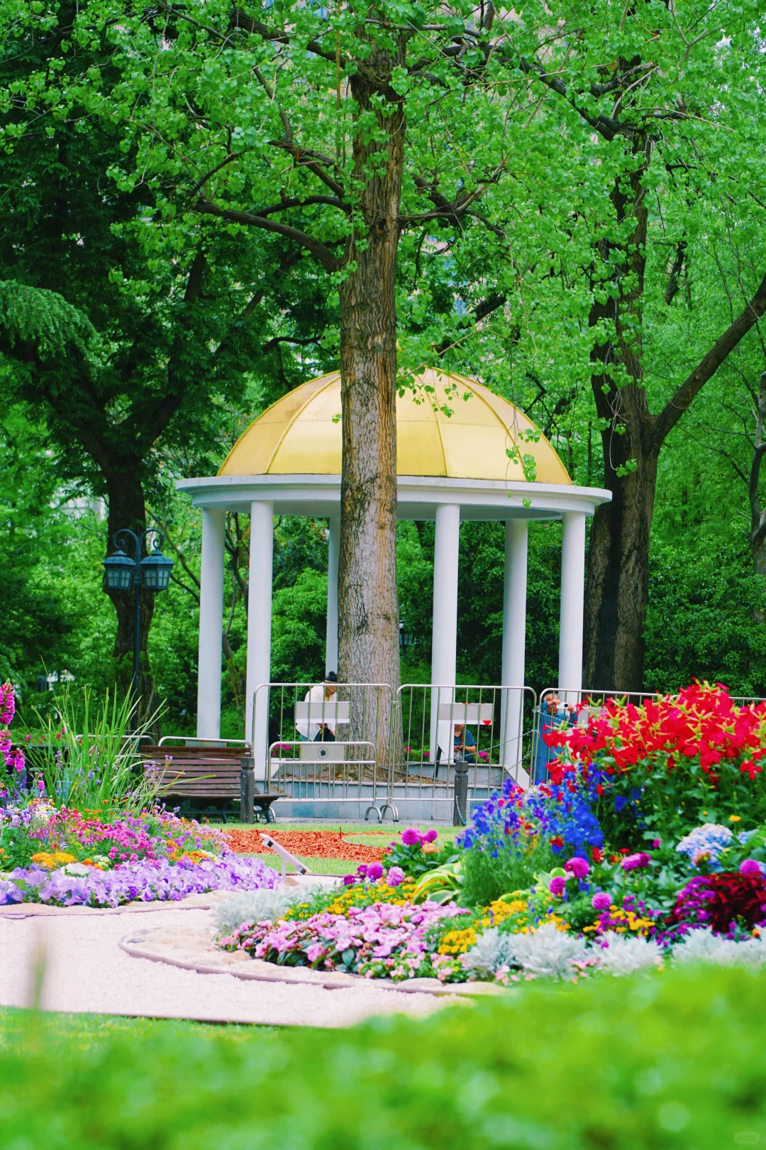 4.17花情实况播报?复兴公园花展全攻略！