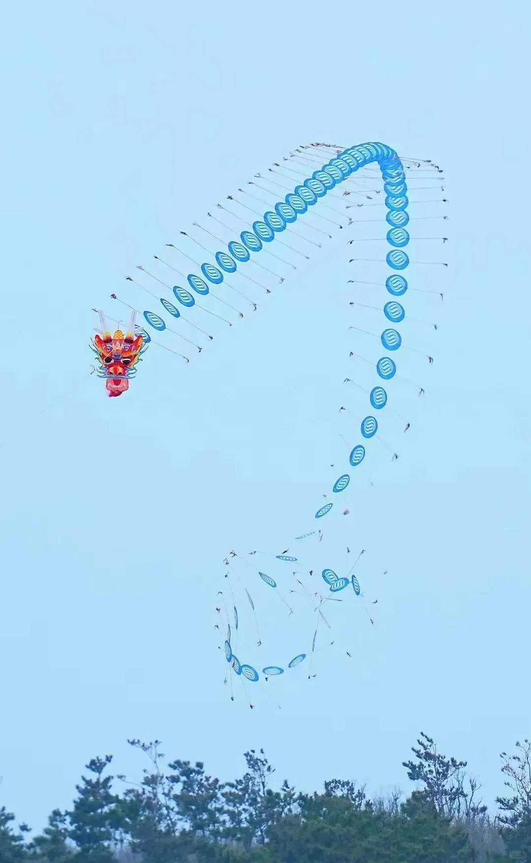 ?潍坊风筝节:万物皆可飞！