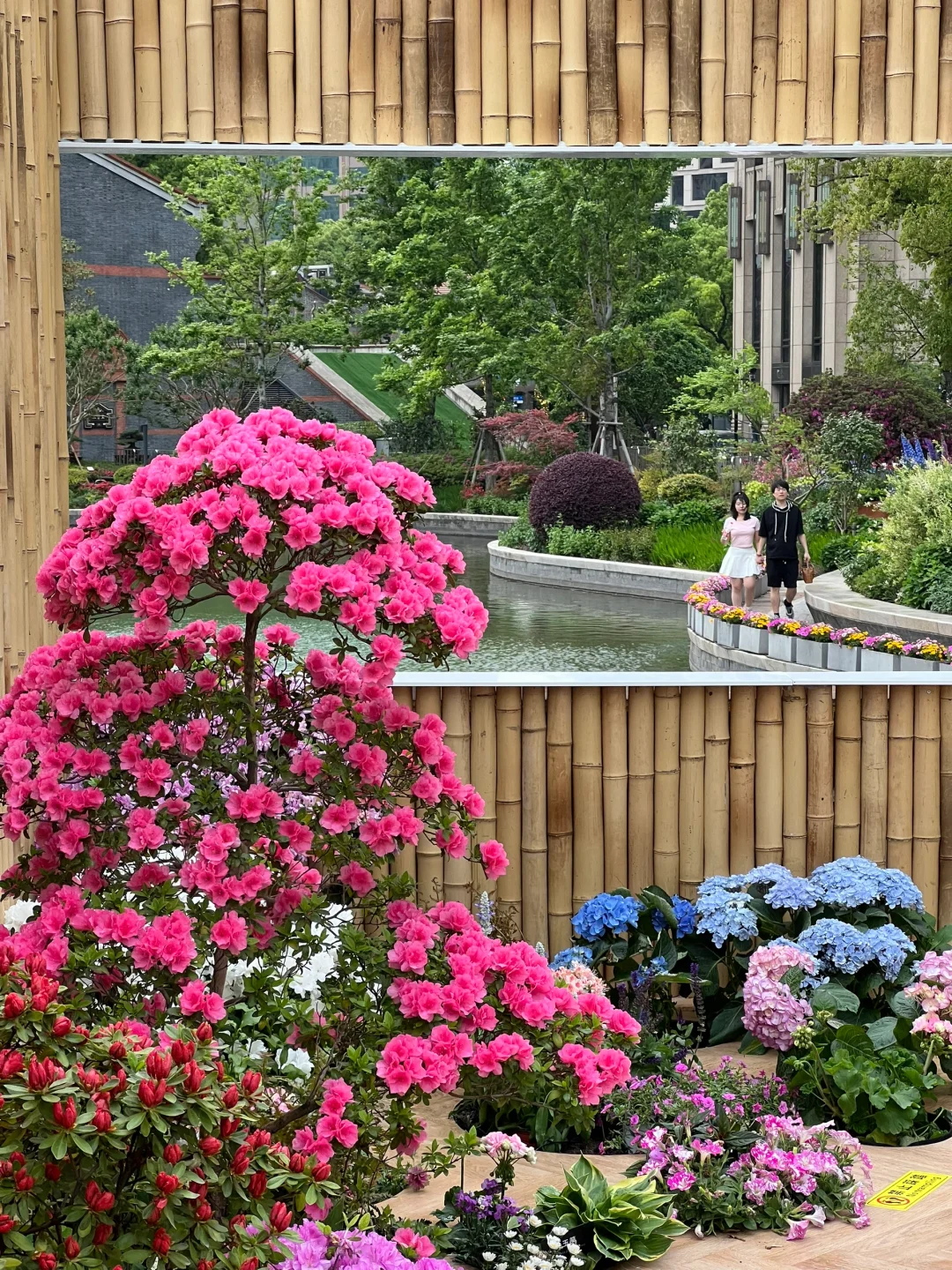 春日欢迎会｜有2w人周末去的上海赏花路线?