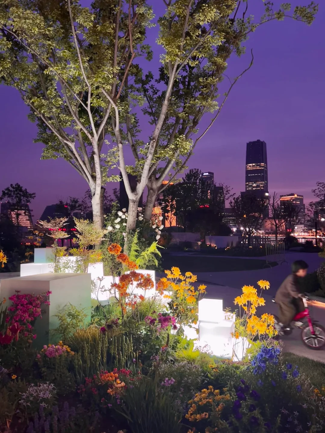 春日欢迎会|上海花展简直莫奈花园+爱乐之城