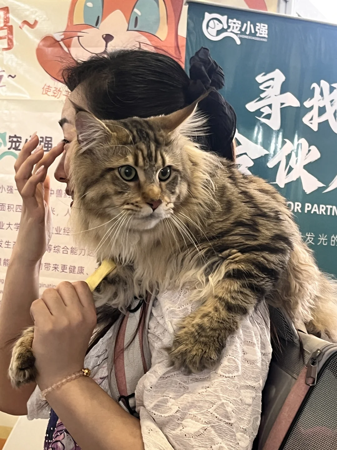 西安宠物博览会好有意思！