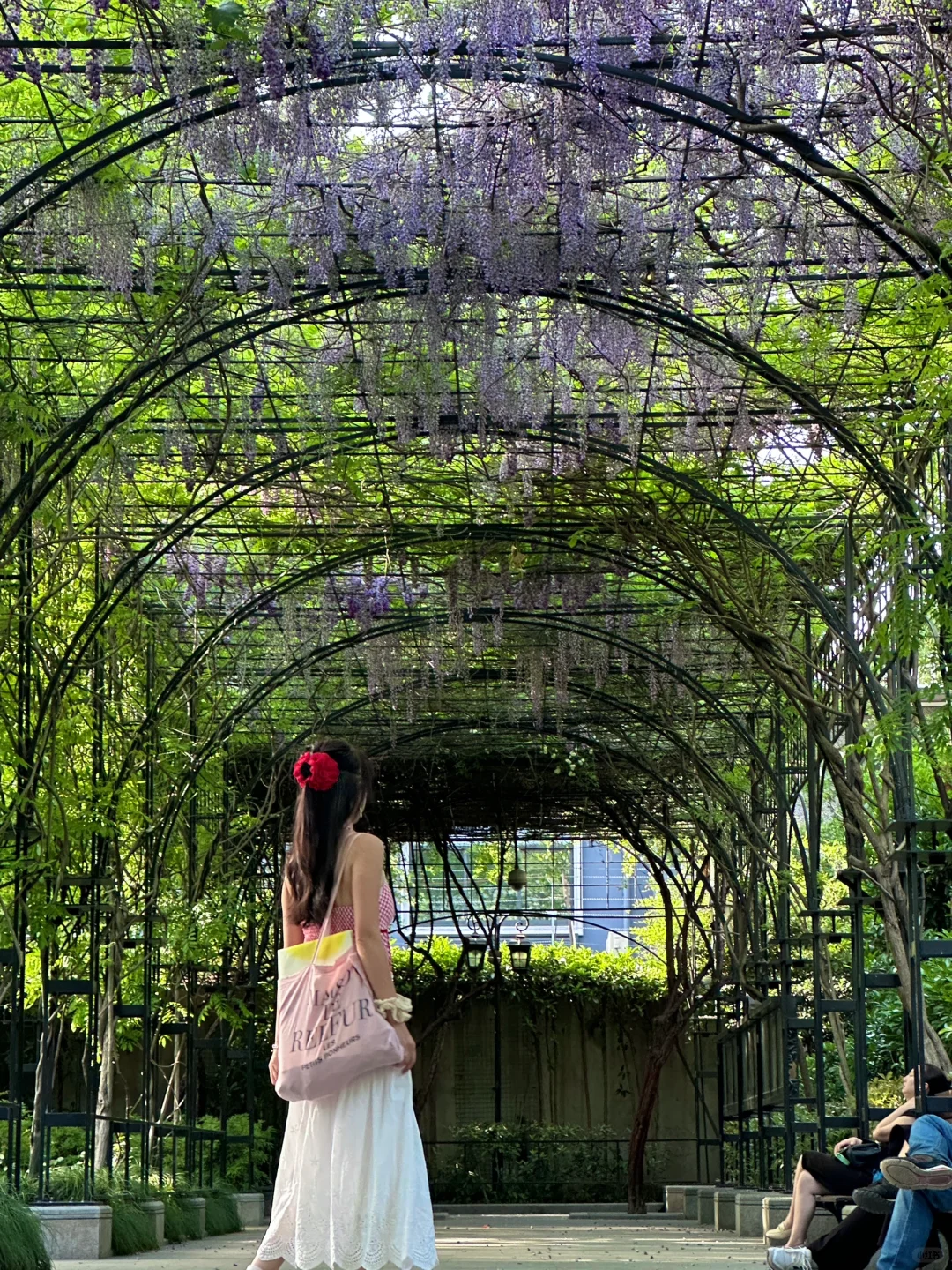 春日欢迎会｜?上海花展1.5h懒人赏花路线！