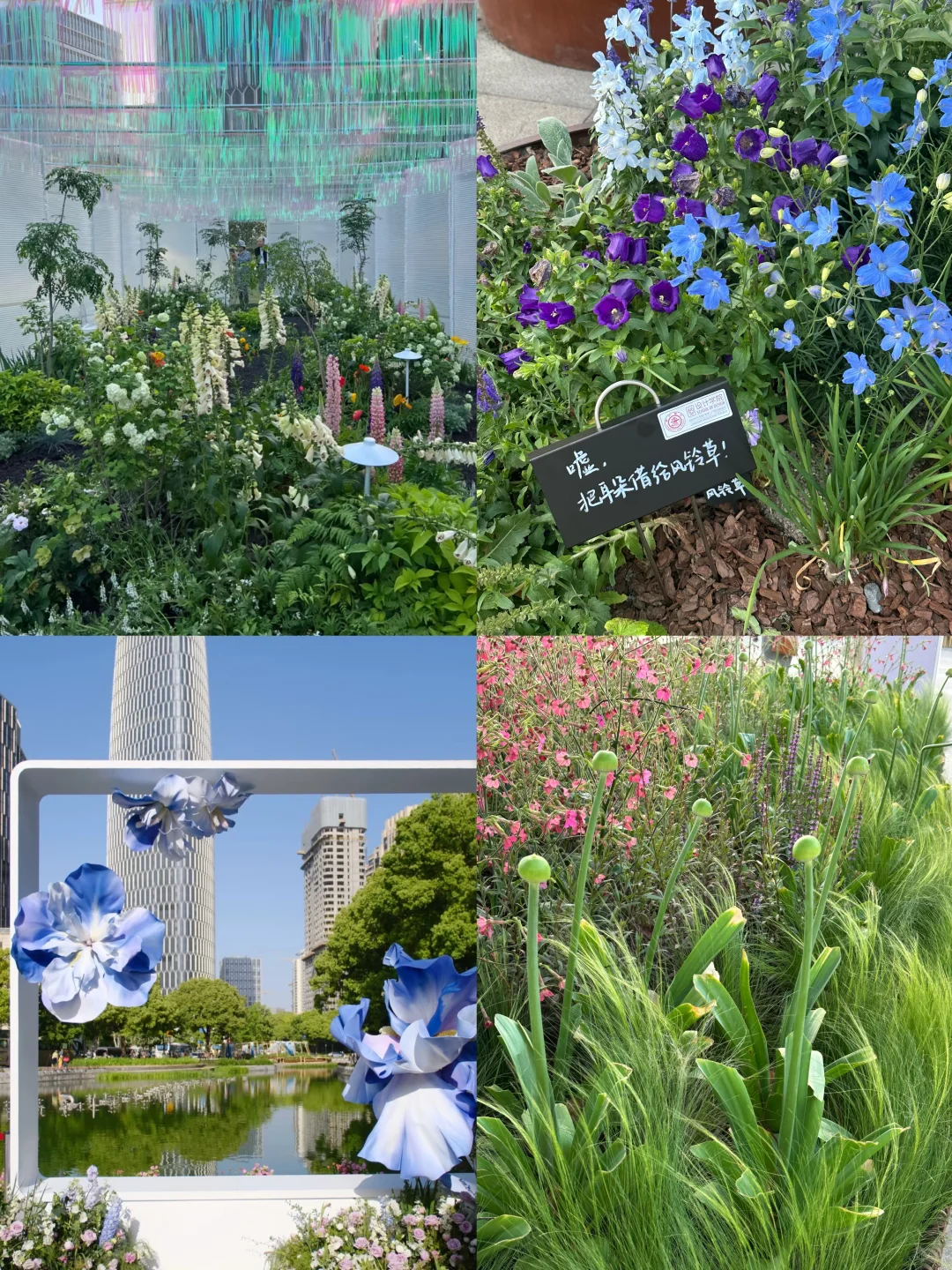 春日欢迎会｜?上海花展1.5h懒人赏花路线！