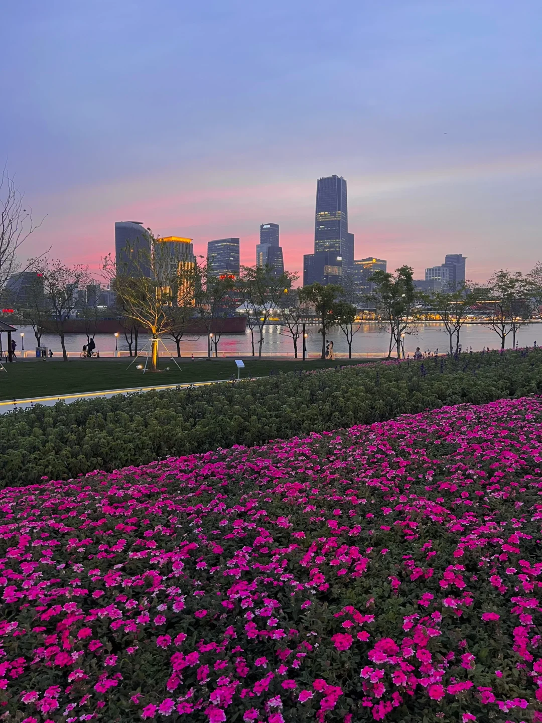 春日欢迎会|上海花展简直莫奈花园+爱乐之城