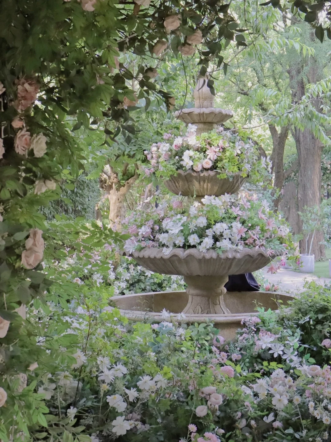 上海超全的2025国际花展花期指南来了！！